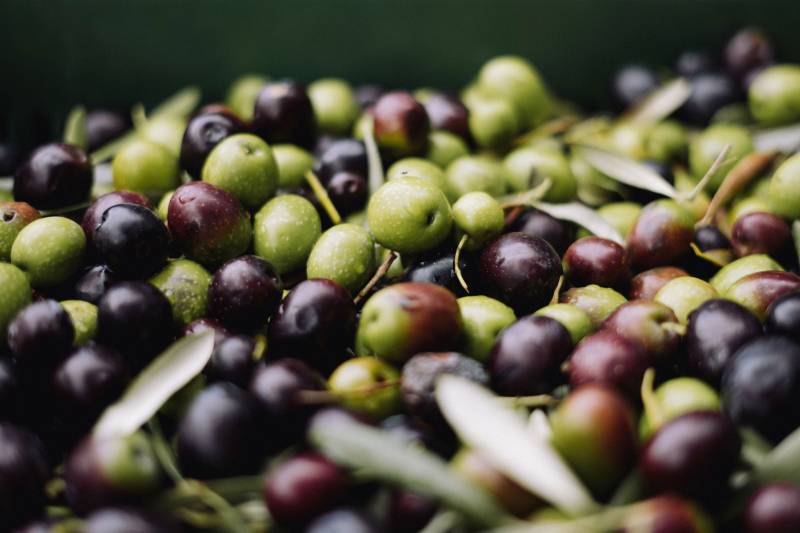 Tarif et devis 2024 pour huile d'olive dans nos moulins d'Oraison et à Peyruis